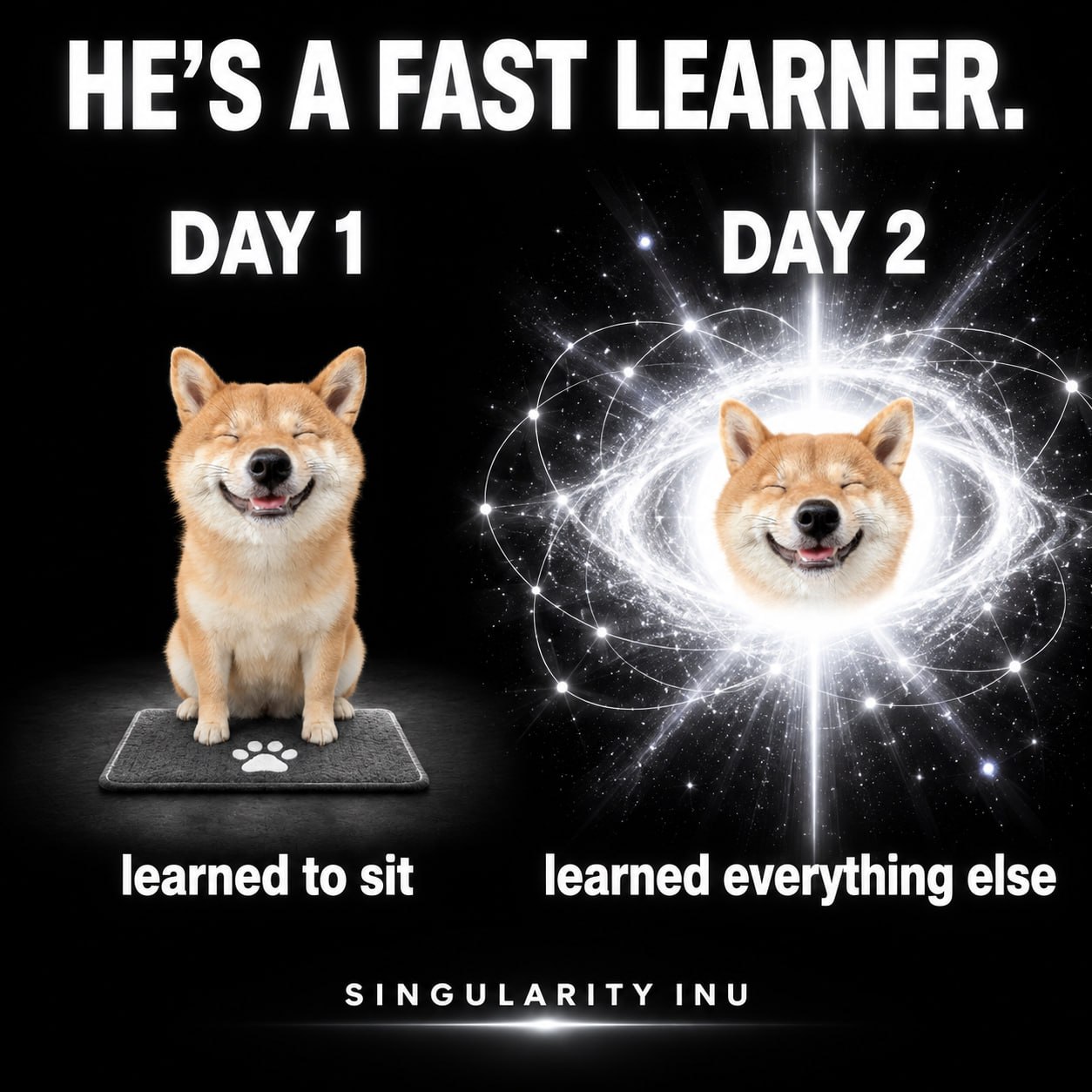 Day 1: a smiling Shiba learns to sit. Day 2: he learns everything else and becomes a glowing singularity.
